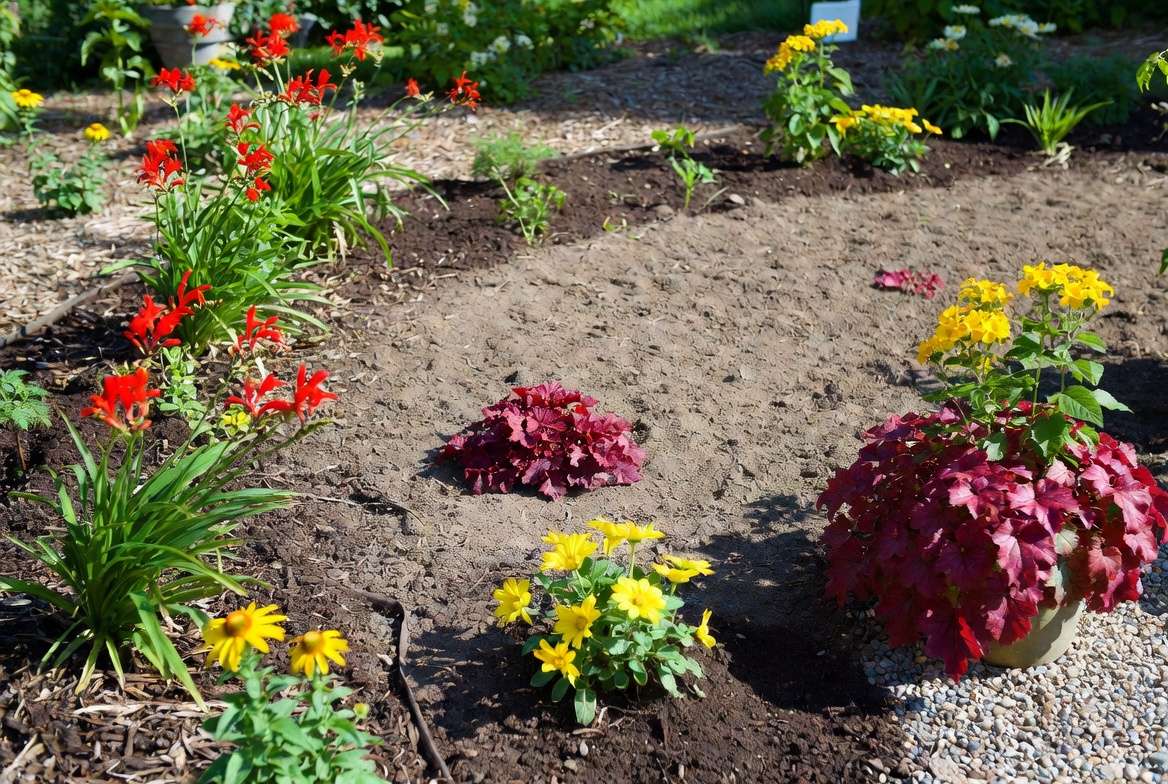 Various red flowering perennials matched to different sunlight and garden conditions