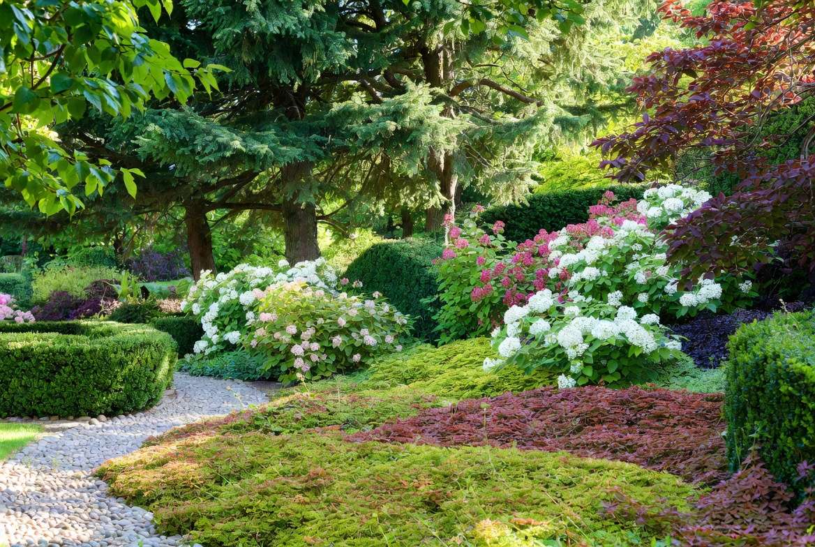 Layered planting design with multiple plants for effective garden privacy