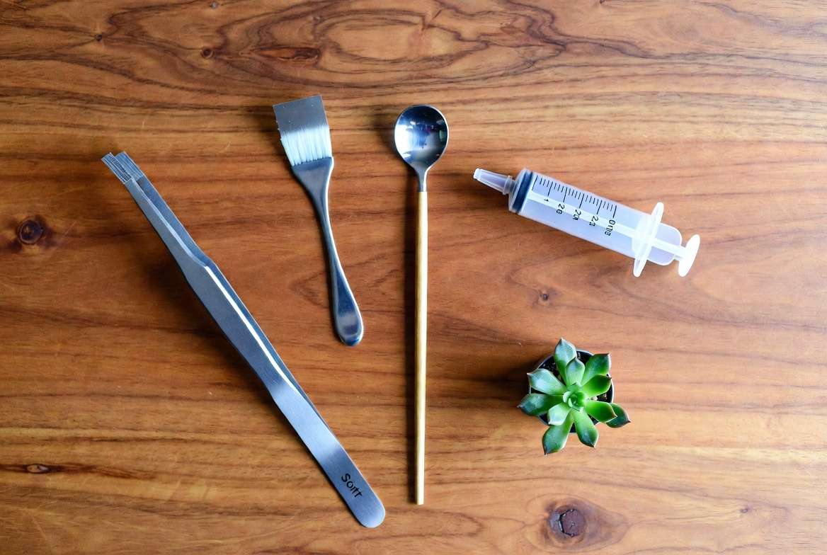 A flat lay photograph showcasing miniature gardening tools required for building a small glass succulent terrarium.