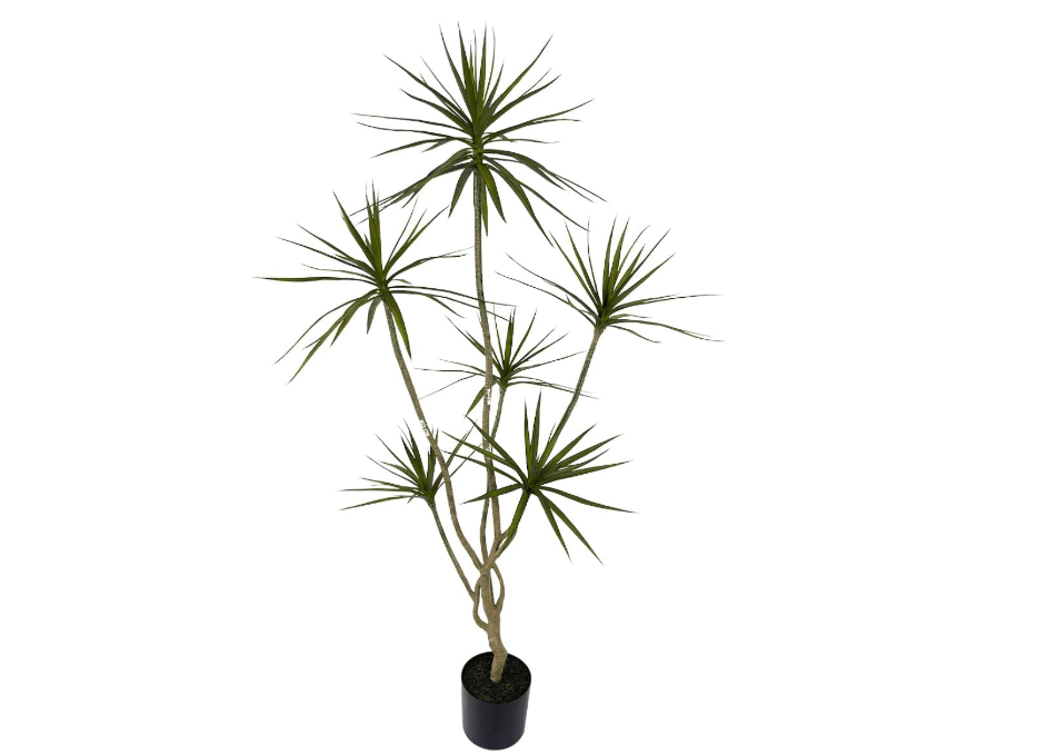 AfanD Artificial Dracaena marginata,6ft Tall Fake Plants Artificial Dracaena marginata Plants for Indoor, Fake Trees for Office Home Living Room Floor Patio