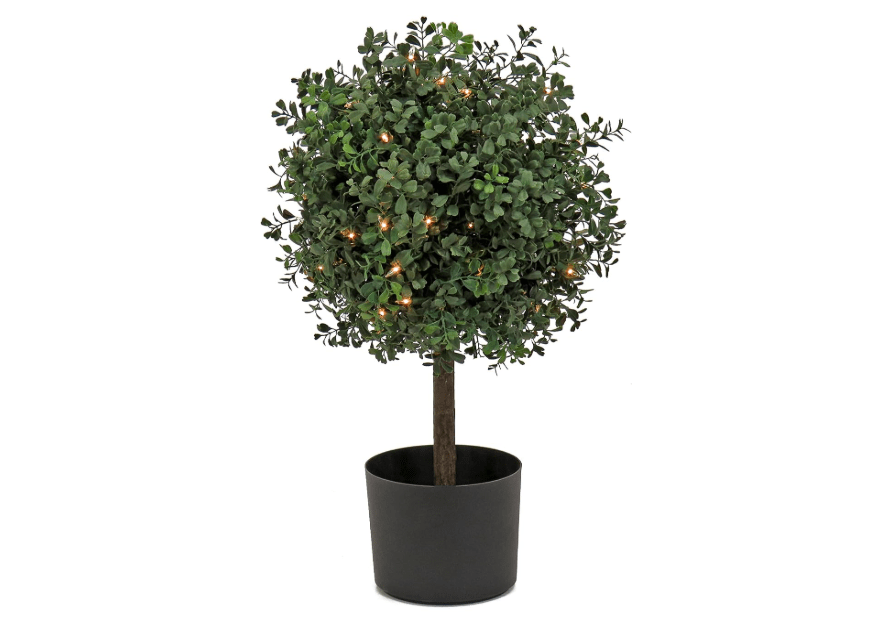 National Tree Company 2 ft Prelit Artificial Boxwood Single Ball Topiary with 50 Clear Lights, Realistic Fake Tree Potted Plant, Matte Black Nursery Pot