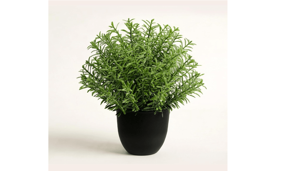 EVERLNESTIO 8-Inch Artificial Rosemary Plant, Small Faux Potted Greenery | Small realistic plastic faux shrub pot for indoor home, office, shelf, table