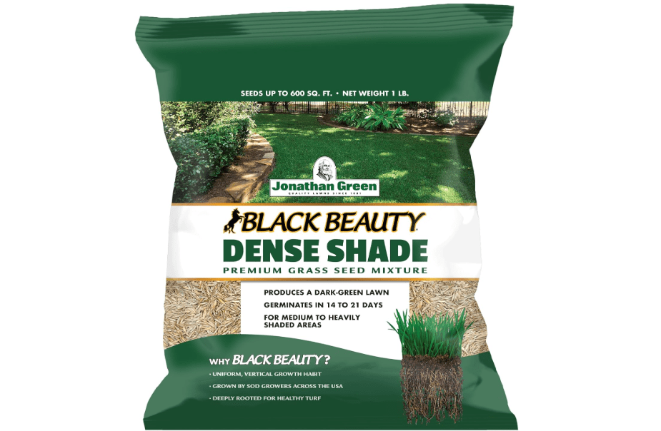 Jonathan Green (10622) Black Beauty Dense Shade Grass Seed - Cool Season Lawn Seed (1 lb) | Grows Well in Medium to Densely Shaded Areas