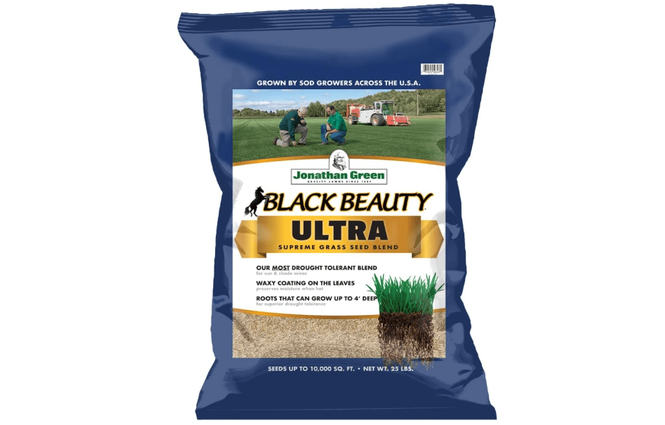 jonathan Green (10323) Black Beauty Ultra Grass Seed - Cool Season Lawn Seed (25 lb)