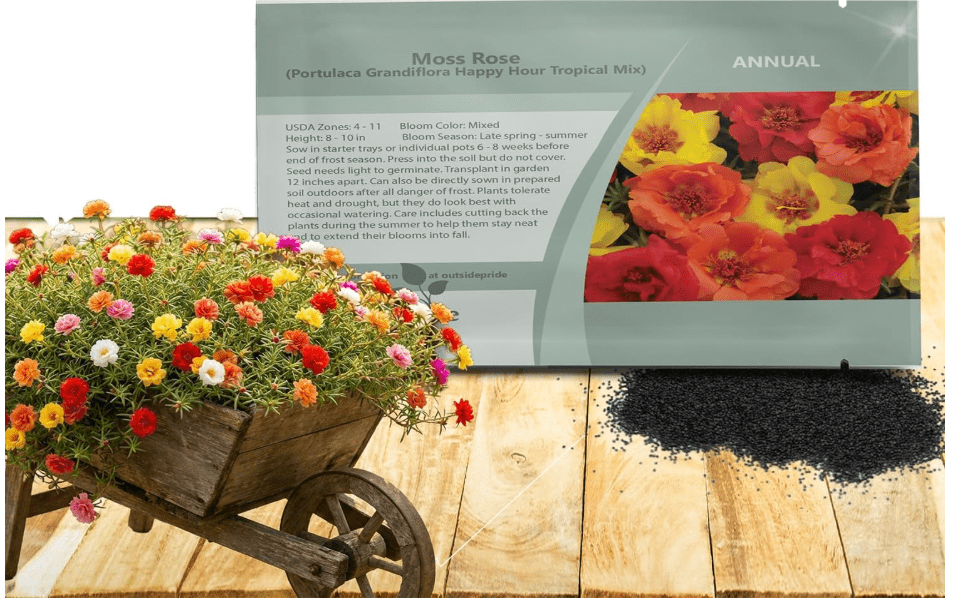 Outsidepride Tropical Mixed Moss Rose Seeds - 250 Pcs Annual, Drought & Heat Tolerant, Pollinator Friendly Ground Cover Seeds for Planting w/Vibrant
