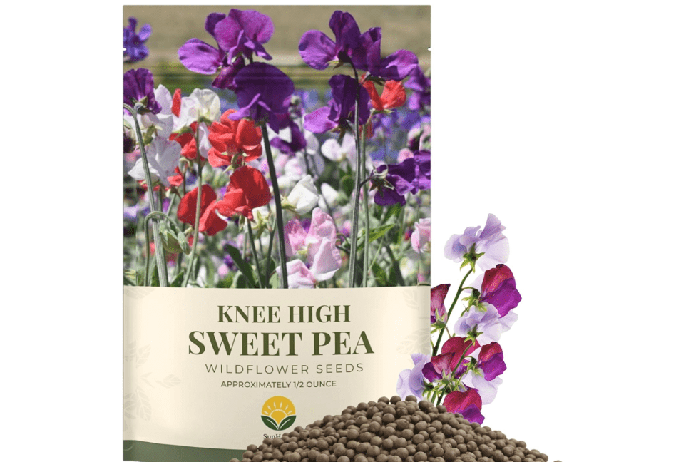 
SunHaven Seeds Sweet Pea ‘Knee High’ Flower Seeds – 150+ Seeds – 0.5 oz Large Resealable Packet – Lathyrus odoratus Seeds for Fragrant Pastel Blooms