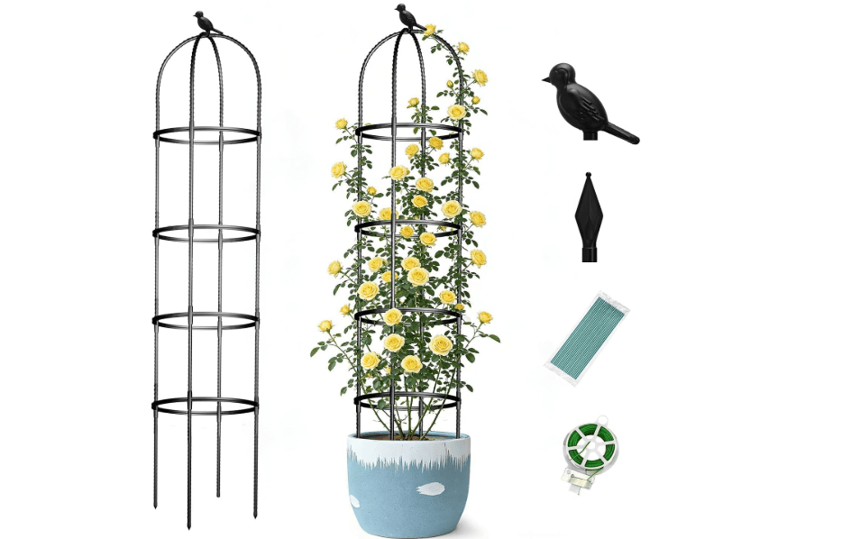 Obelisk Trellis for Garden Plants Climbing: 6ft Rustproof Metal Pipe with Plastic Coated - Potted Plant Climber Support for Outdoor Indoor Grape Vines