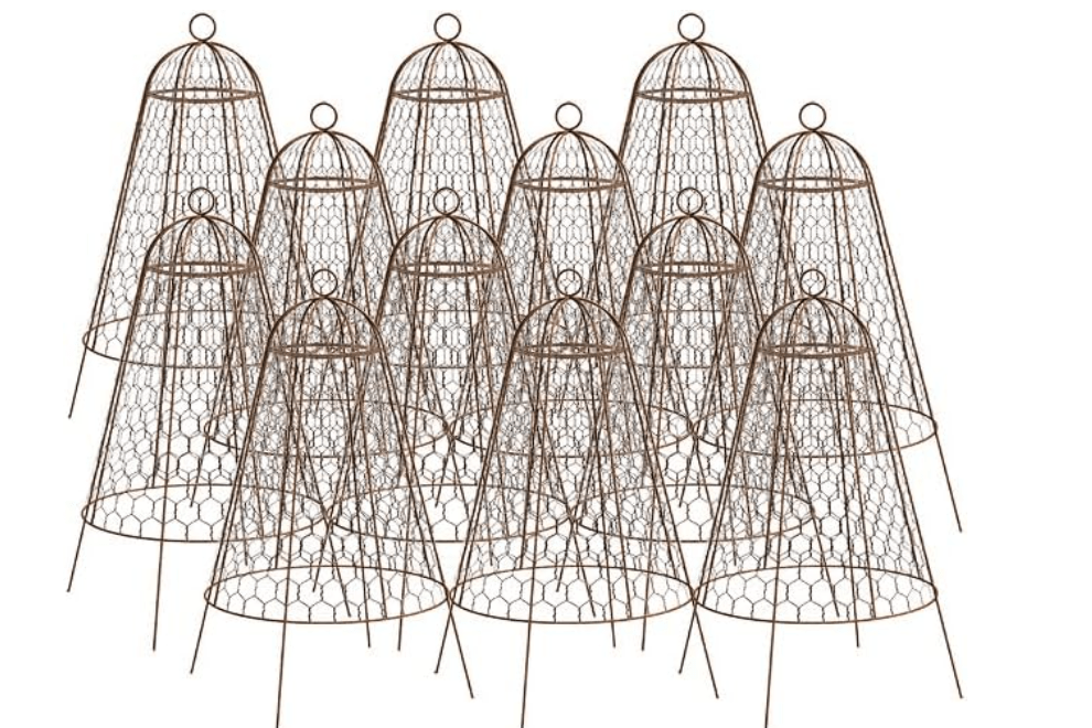 Bulk Buy of 12 Panacea 83280 Rustic Wire Garden Cloches, 20" H Each