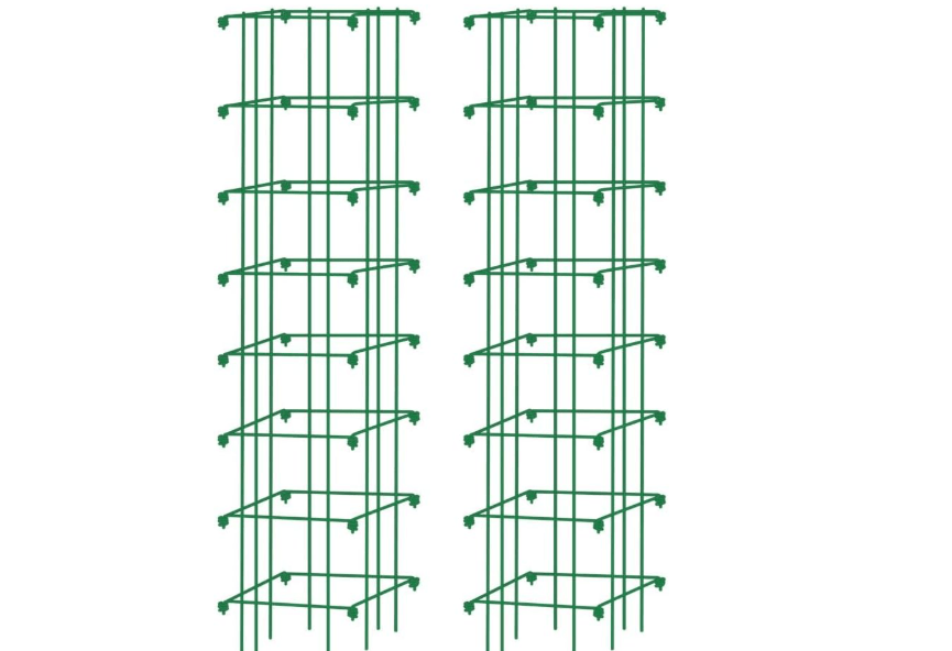 Gardener’s Supply Company Extra Tall Heavy-Guage Square Tomato Cages | Easy Fold Plant Supports & Vegetable Garden Stakes
