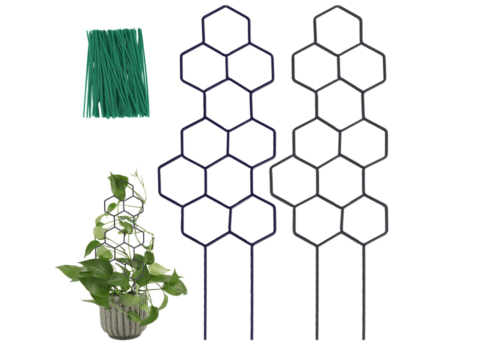 WellSign 15.94 inch Small Trellis for Potted Plants, Metal Plant Trellis | 2 Pack Metal Plant Trellis for Climbing Plants Indoor Pot Honeycomb Shape Lattice