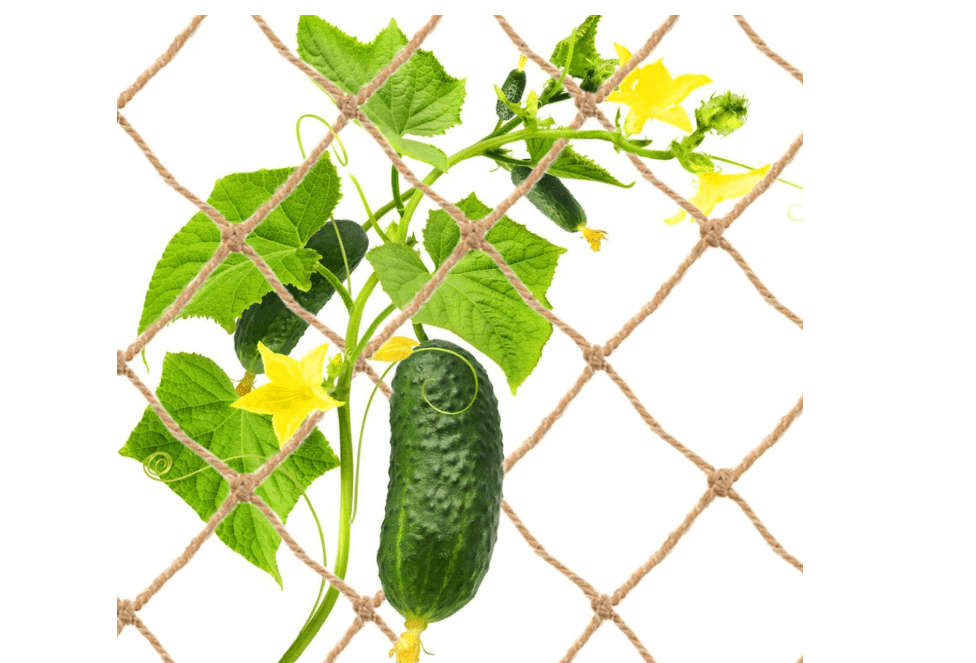 Jute Trellis Netting for Climbing Plants, Heavy Duty Jute Plant Support Net Natural Jute Hemp Rope Net with 5.9 inch Mesh for Climbing Vine Vegetables