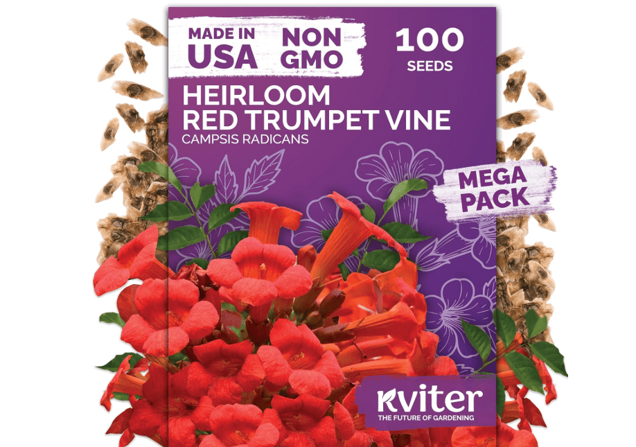 
KVITER 100 Red Trumpet Vine Seeds for Planting (Campsis Radicans) – Trumpet Creeper & Heirloom Hummingbird Vine – Perennial Flower Seeds to Plant
