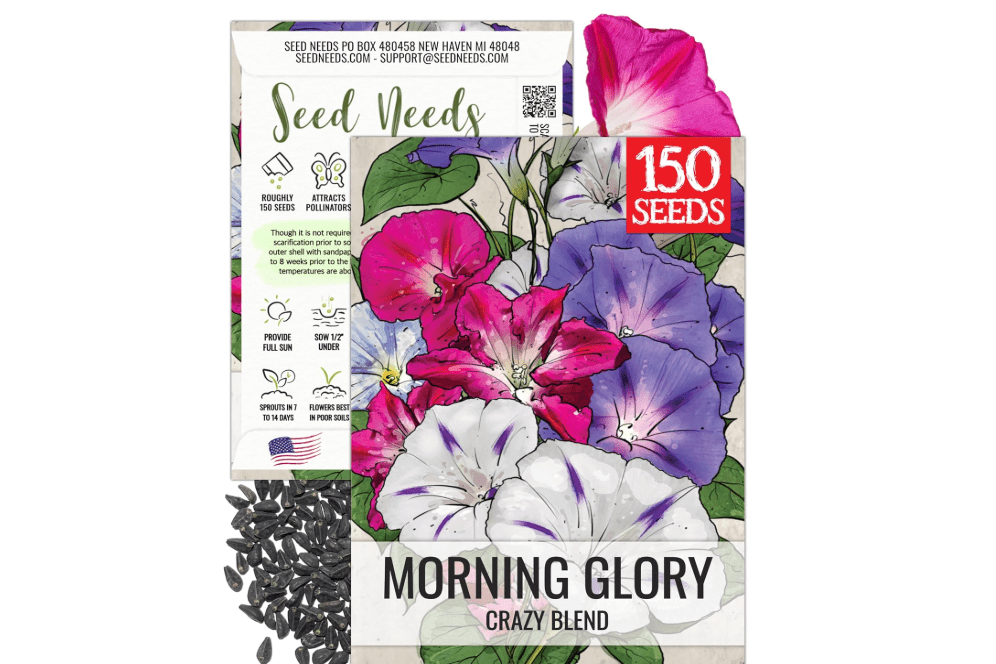 
Seed Needs Crazy Mixed Morning Glory Seeds to Plant Annual Flowers