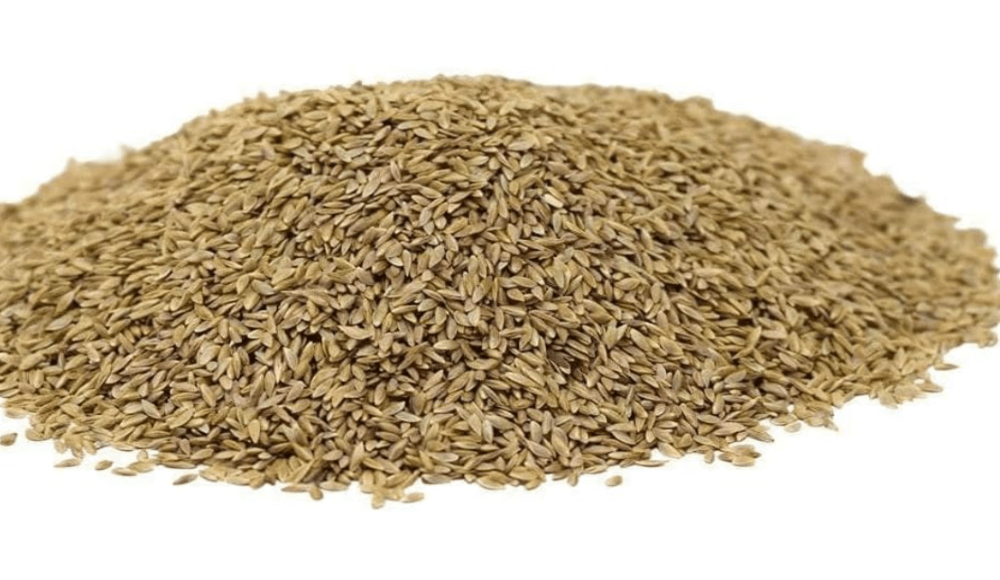 
Hancock Seed Co. Common Bermuda Grass Seed - Coated & Unhulled,