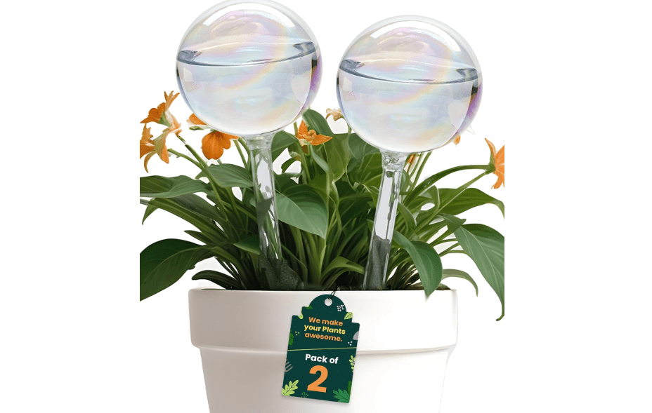 
Iridescent Self Watering Globes, Glass Rainbow Plant Watering Globes, Self Watering Planter Insert, Automatic Plant Waterer Indoor (Medium-2 Pcs Iridescent