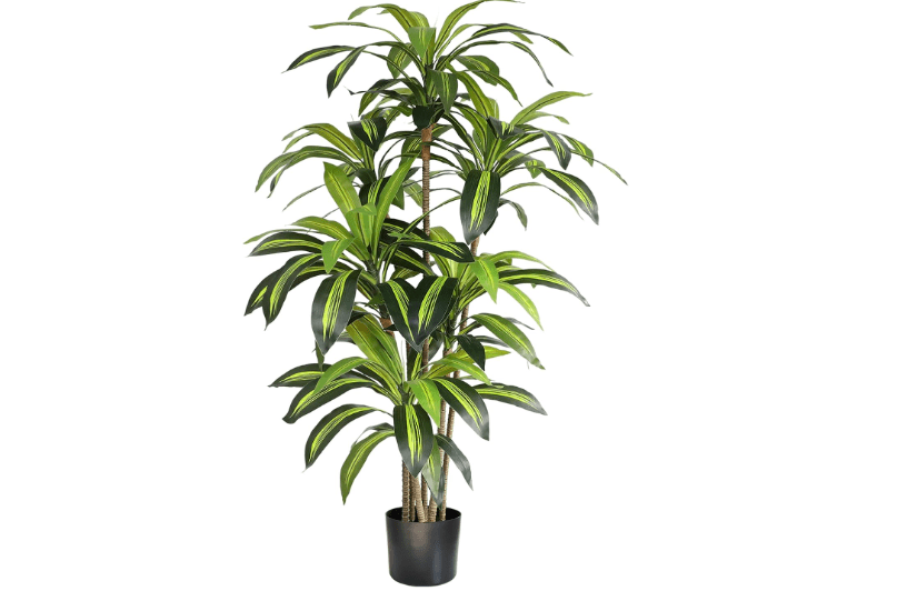 
59 Inch Artificial 6-Trunk Dracaena Tree with Black Pot for Indoor and Outdoor Use