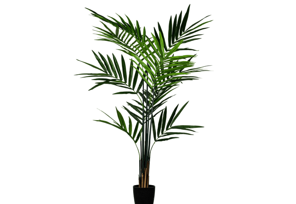 
Vickerman Everyday Artificial Kentia Palm Tree 7 Foot Tall - Realistic Indoor Greenery Decor - Faux Potted Decoration for Home Or Office Accent