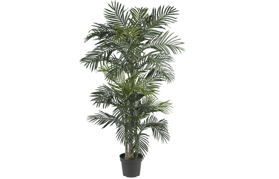 
Nearly Natural 6.5 ft Artificial Golden Cane Palm Tree with Nursery Pot | Lifelike Silk Indoor Palm, Three Textured Trunks, Flexible Fronds, Low-Maintenance