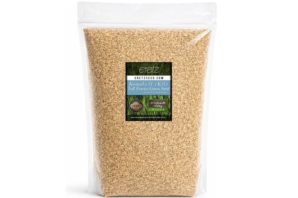 Kentucky 31 K31 Tall Fescue Grass Seed by Eretz - Choose Size! State Certified, No fillers, No Weed or Other Crop Seeds (5lbs
