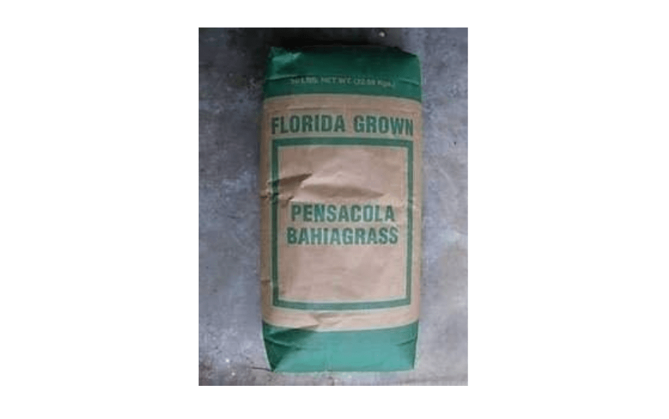 SeedRanch Pensacola Bahia Grass Seed - 25 Lbs