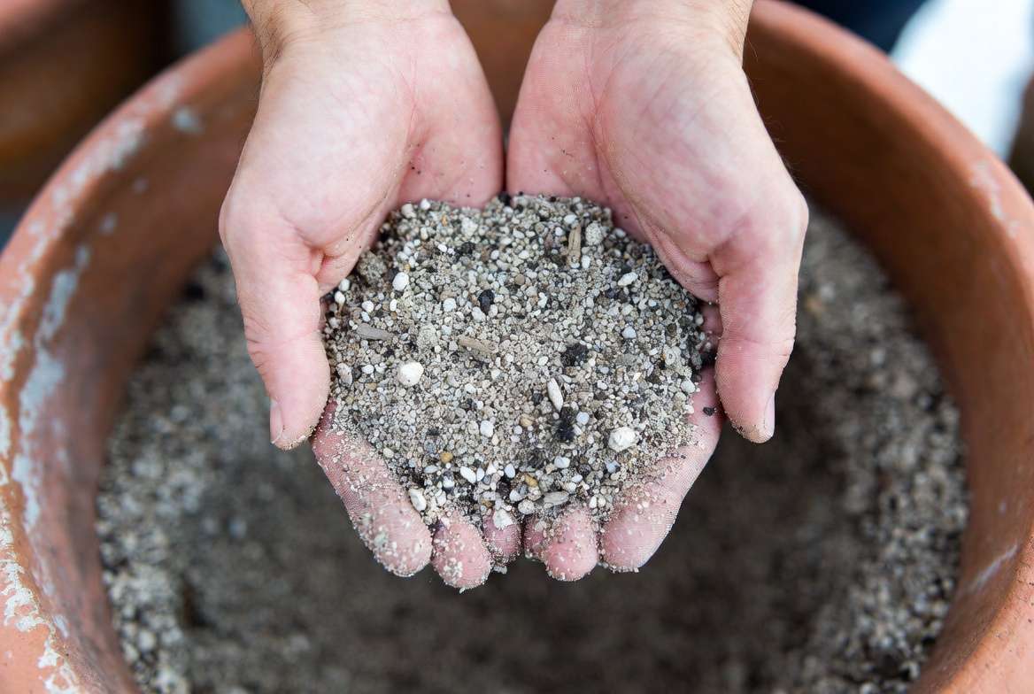 Detailed close-up photograph of hands holding a handful of gritty, fast-draining cactus soil mix composed of pumice, granite grit, and sand over a terracotta pot.
