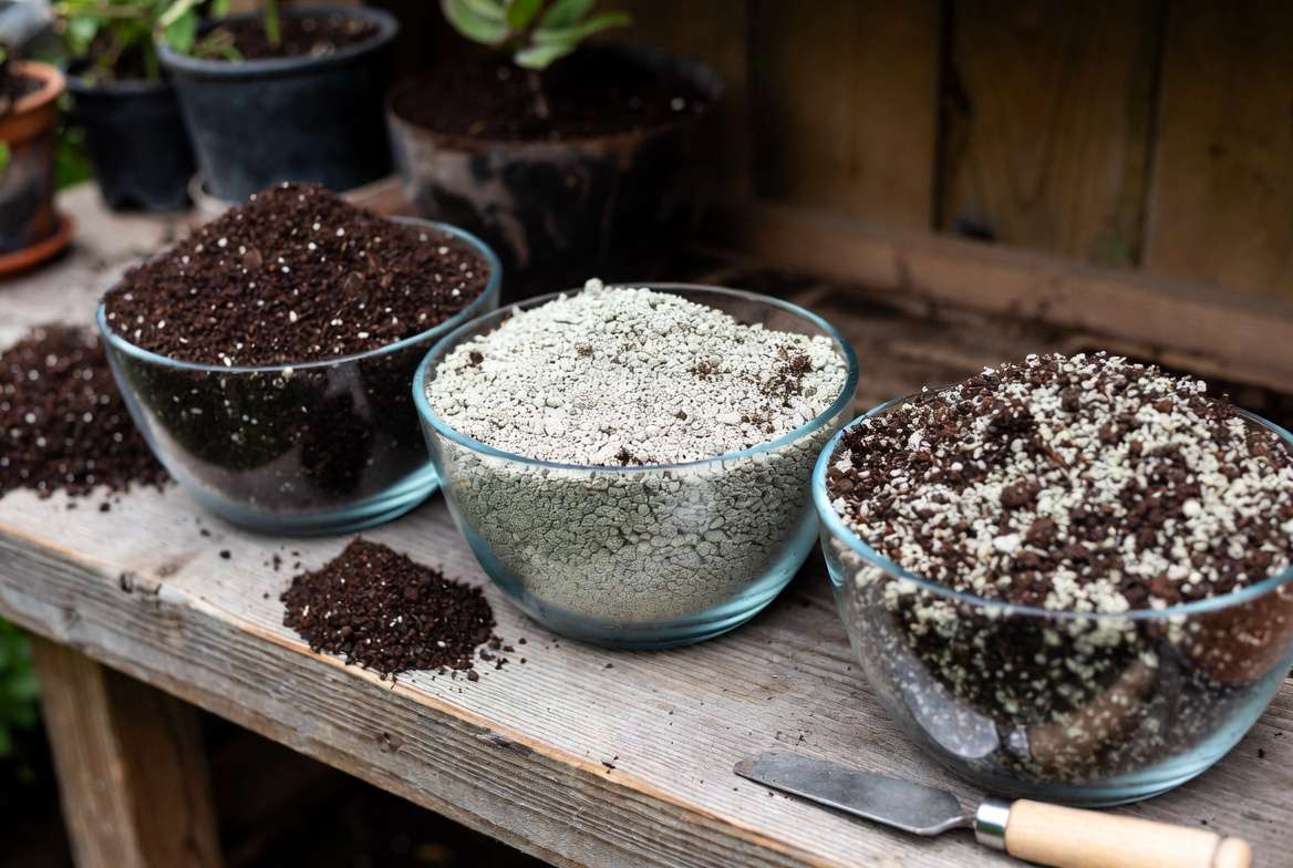 A visual comparison showing three types of cactus potting soil: too dense, pure grit, and the ideal gritty, free-draining winter cactus mix for preventing root rot.