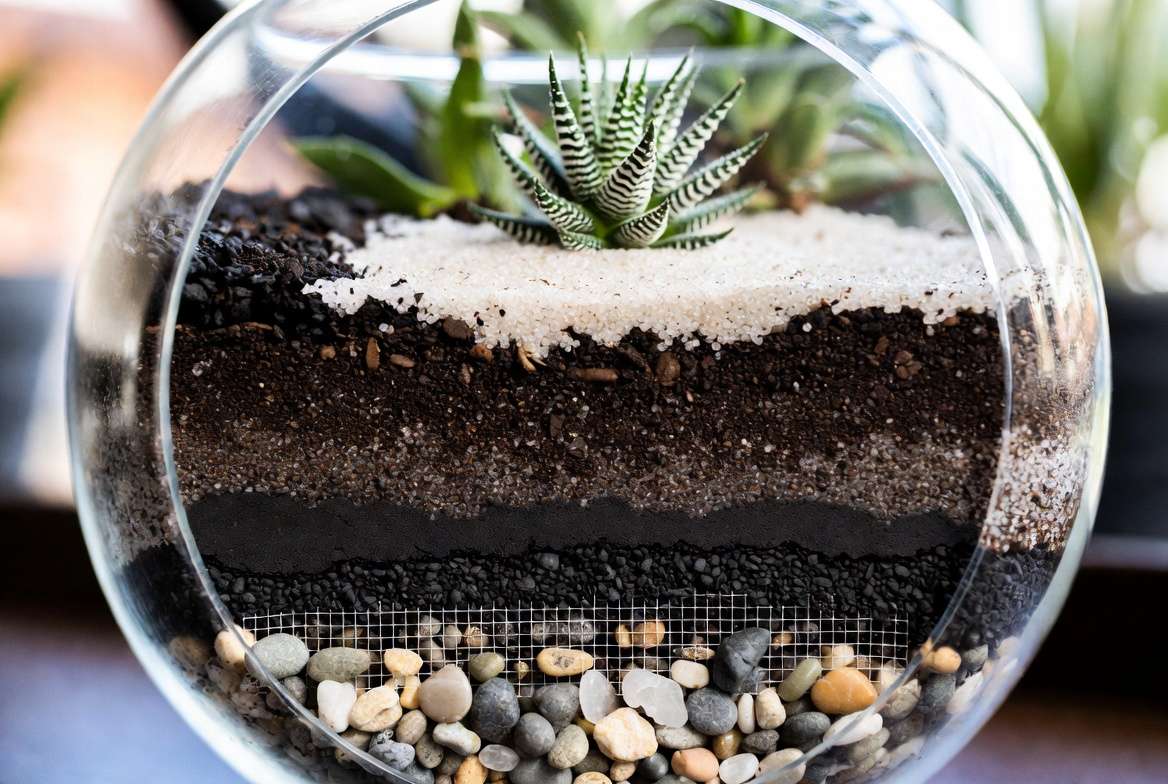 A detailed cross-section of the five essential layers needed for a successful mini succulent terrarium, showing pebbles, mesh, charcoal, soil, and sand.