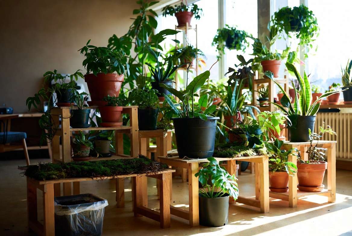 Sustainable care setup for modern indoor plants