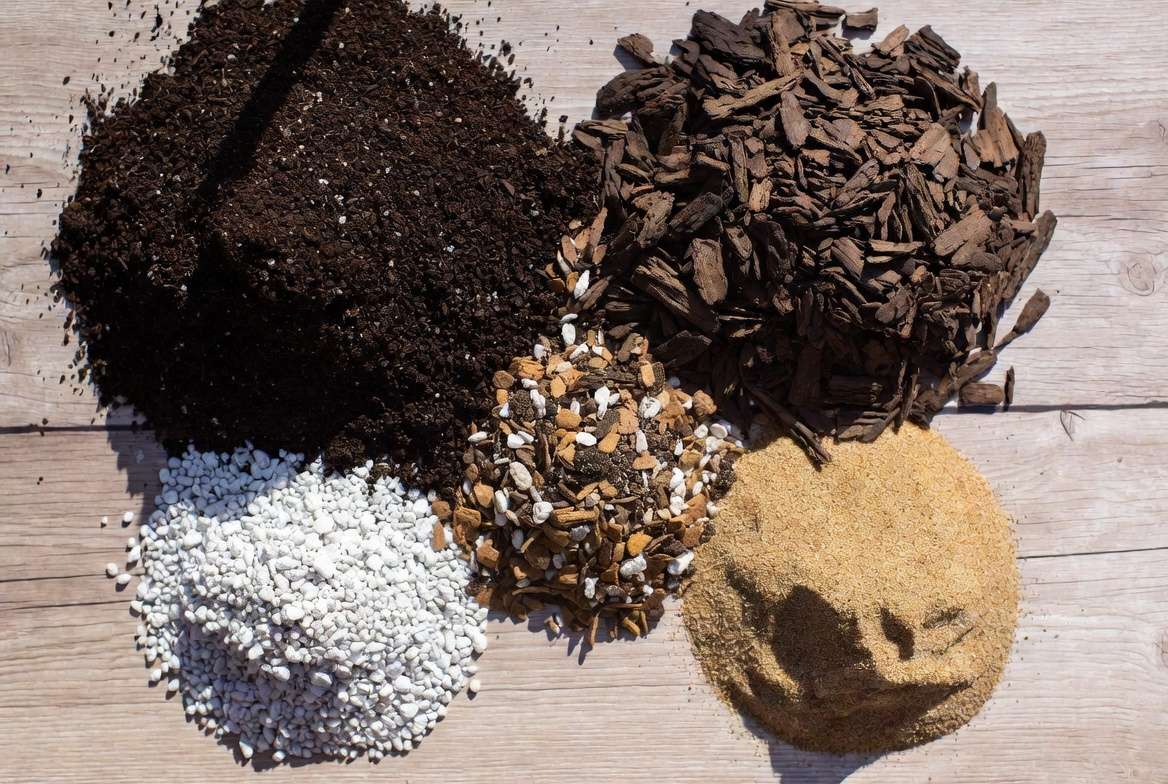 The four necessary componentsβpotting soil, orchid bark, perlite, and sandβarranged before mixing into ideal finger lime tree soil.