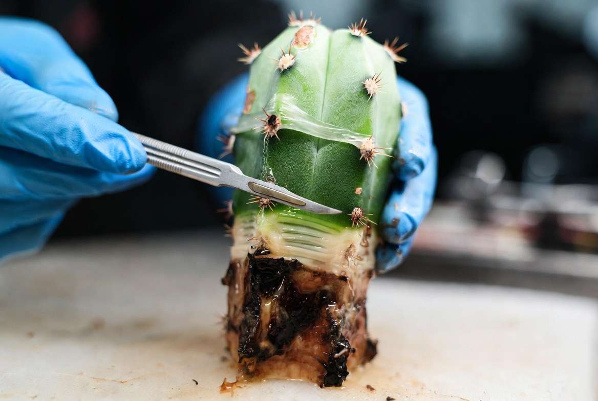 Troubleshooting Common Winter Issues