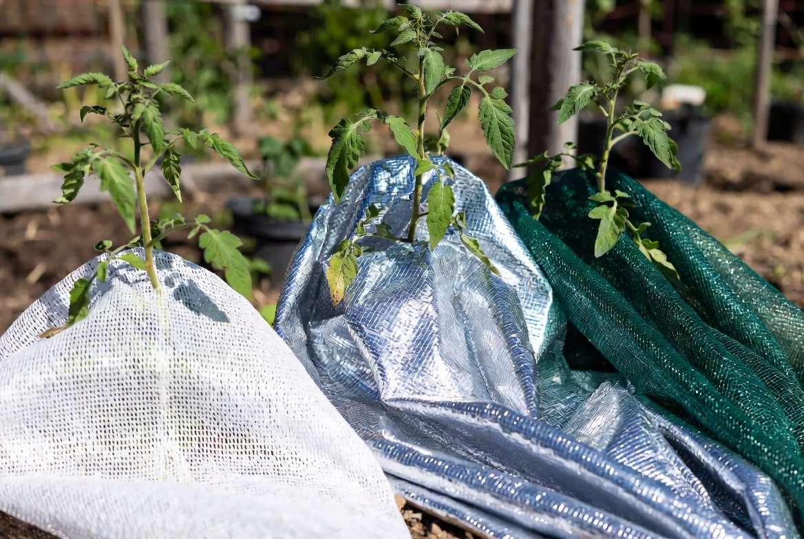 Different types and colors of shade cloth for vegetable gardens