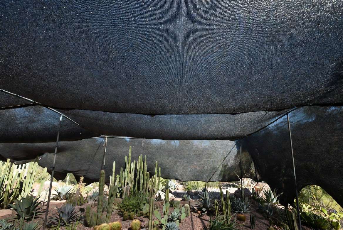 Black knitted shade cloth covering an outdoor cactus garden bed, filtering intense sunlight into dappled shade.
