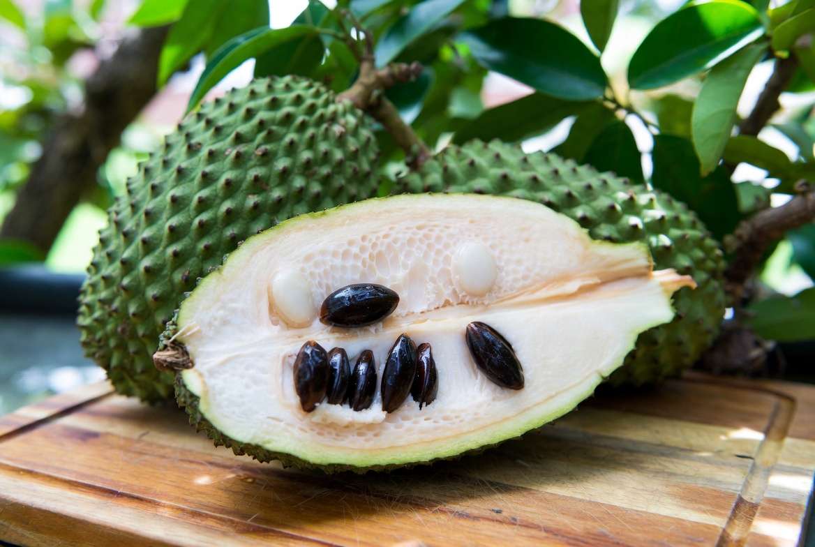 Soursop fruit cut open showing creamy white flesh and seeds