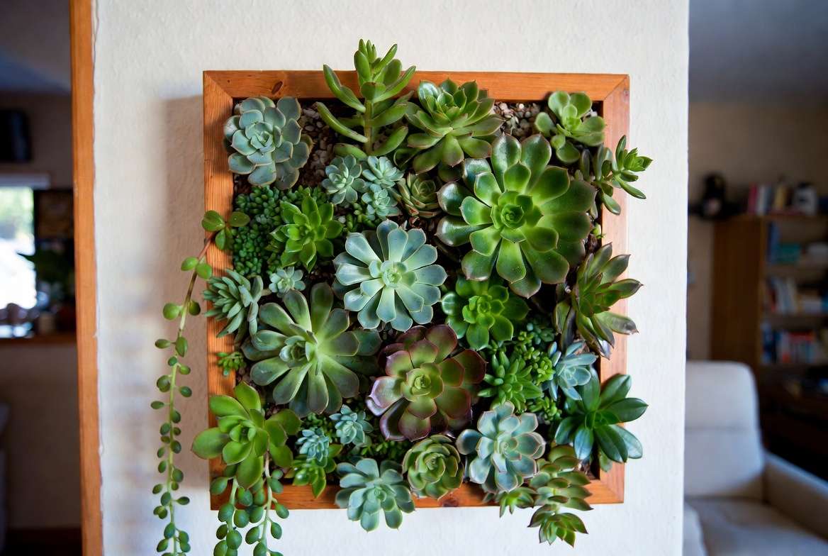Vertical succulent garden in a compact apartment living room