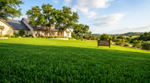best bermuda grass for central texas