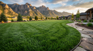 best grass seed for utah
