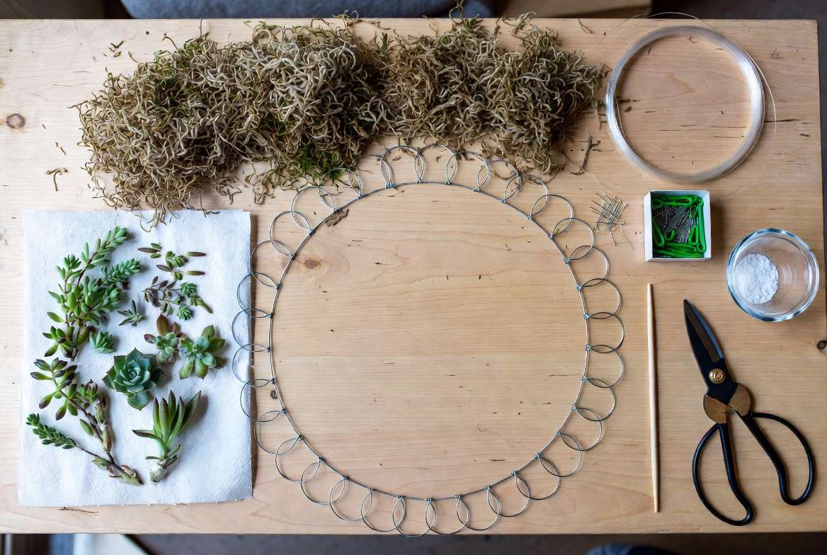 A flat lay photograph showing all necessary tools and raw materials for making a succulent wreath for decor, including moss, frame, pins, snips, and callused cuttings.