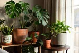 personalized plant pot
