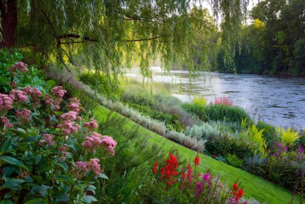 riverside plants