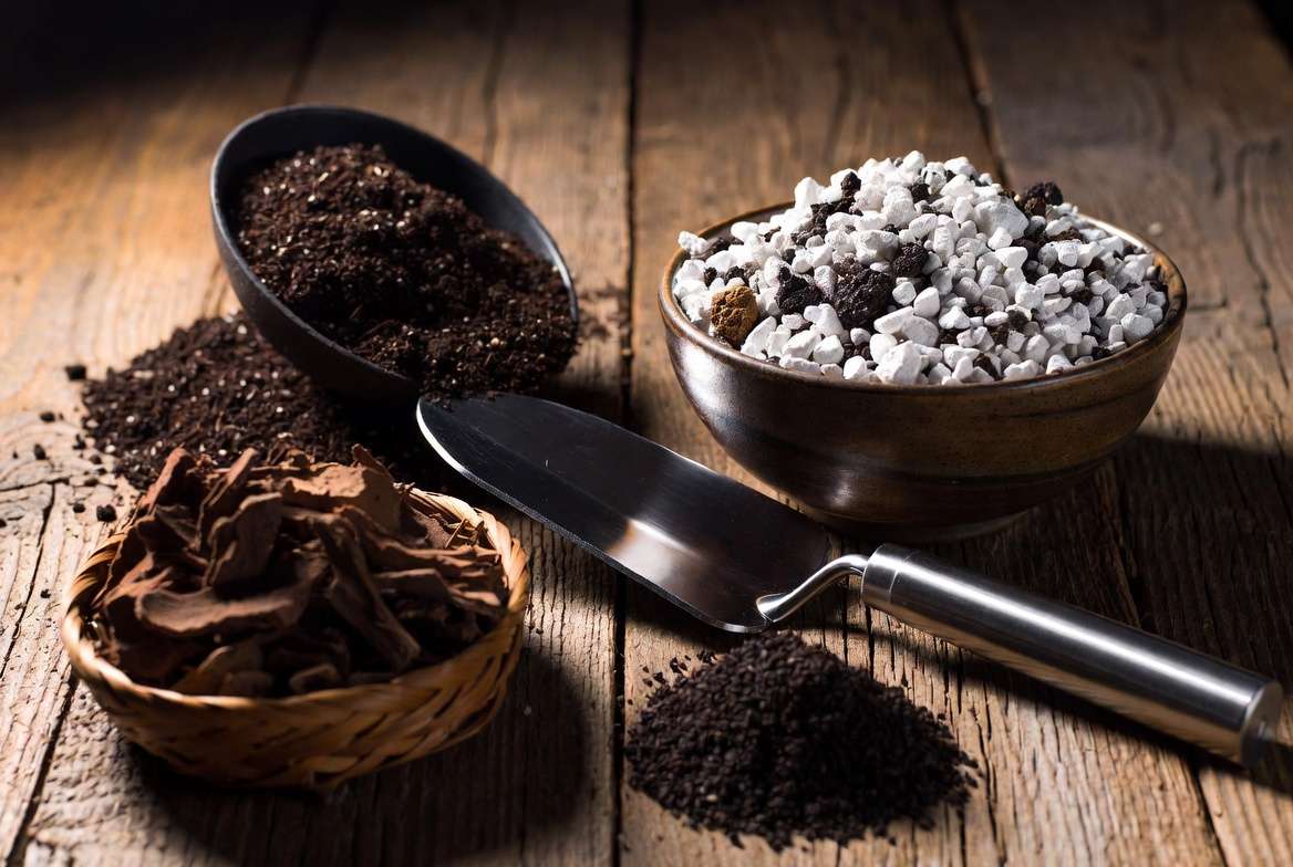 Array of soil amendments: potting soil, perlite, orchid bark, and charcoal.