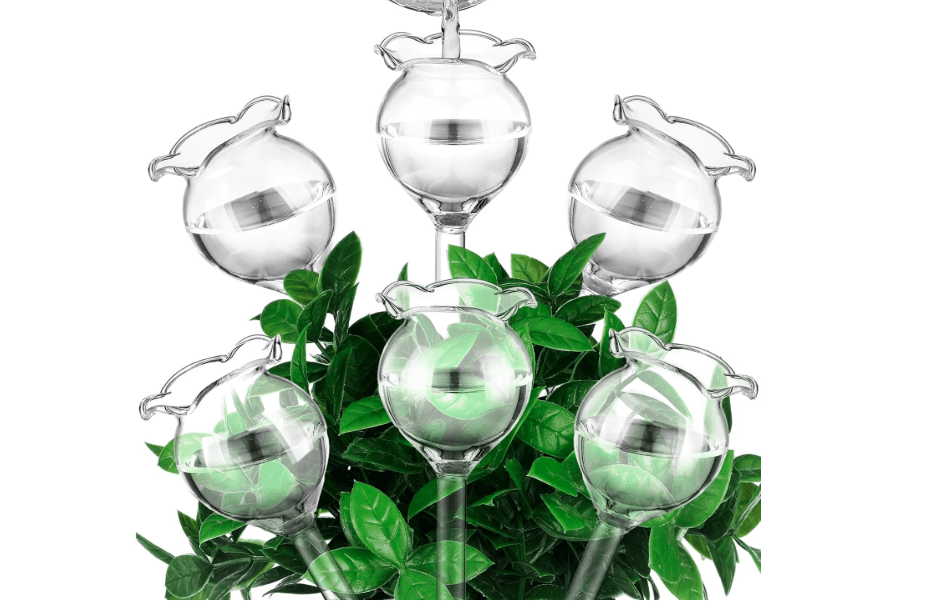 
Yungyan 6 Pcs Glass Plant Watering Globes Self Watering Planter Insert Glass Water Bulbs for Indoor Plants Automatic Plant Water Devices for Indoor Outdoor.
