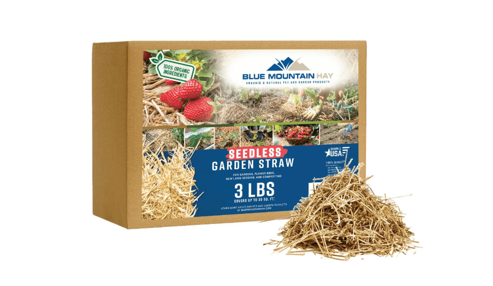 Blue Mountain Hay | Organic Seedless Garden Straw (3 lb) | Natural Mulch for Gardening, Flower Beds, Yard