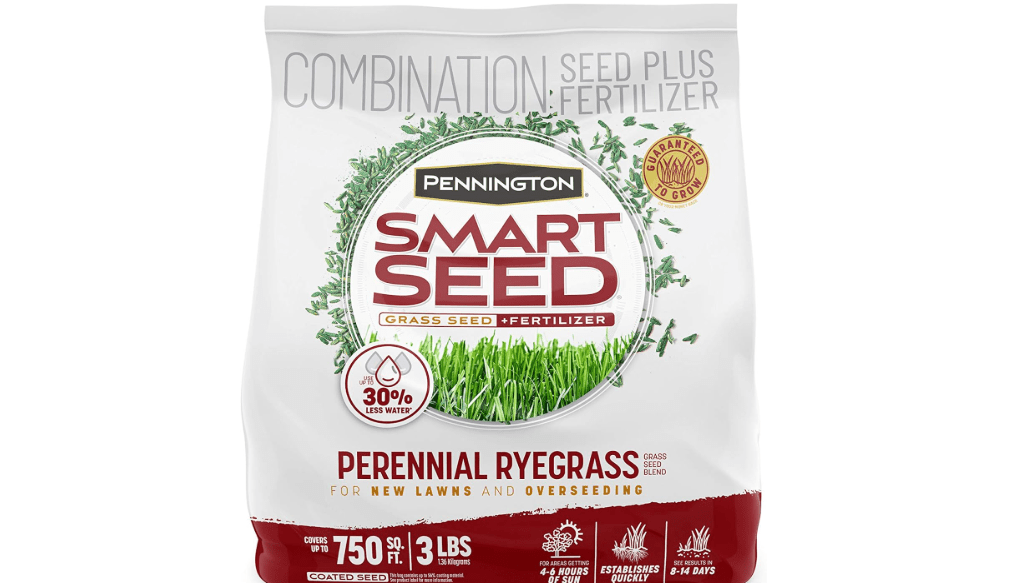 Pennington Smart Seed Perennial Rye 3 Lb, Perennial Ryegrass Seed