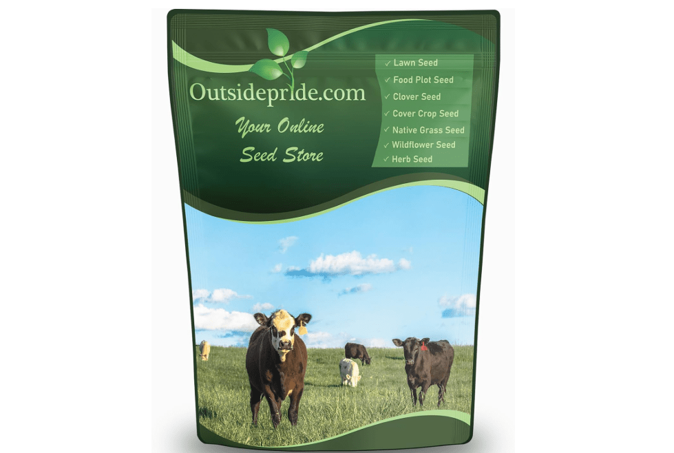 Outsidepride Perennial Ryegrass Seeds - 50 lb. Hardy & Fast-Growing, Cover Crop Seeds for Planting Glossy Dark Green Grass Leaves, Ideal for Hay