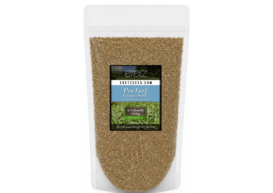ProTurf Perennial Ryegrass Fine Lawn Seed by Eretz (1lb) - Choose Size! Premium Willamette Valley, Oregon Grown Grass Seed