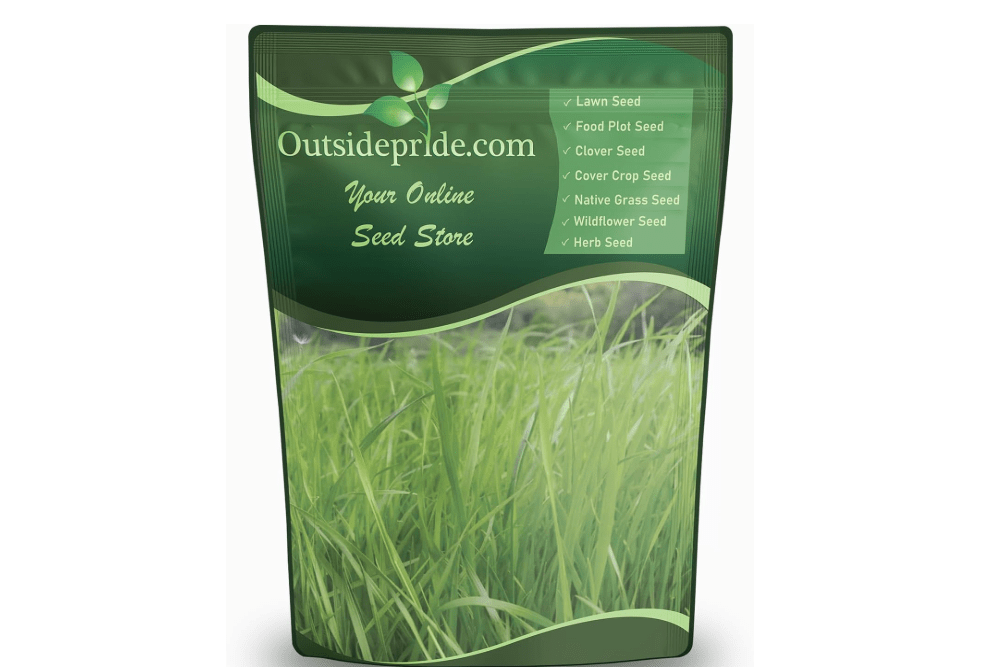 Outsidepride Annual Ryegrass Seeds - 5 lb. Hardy & Fast-Growing, Cover Crop Seeds for Planting Glossy Dark Green Grass Leaves, Ideal for Hay Foraging