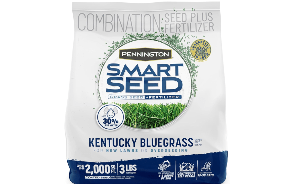 Pennington Smart Seed Kentucky Bluegrass Blend, 3 Lb, Kentucky Blue Grass Seeds for Lawn