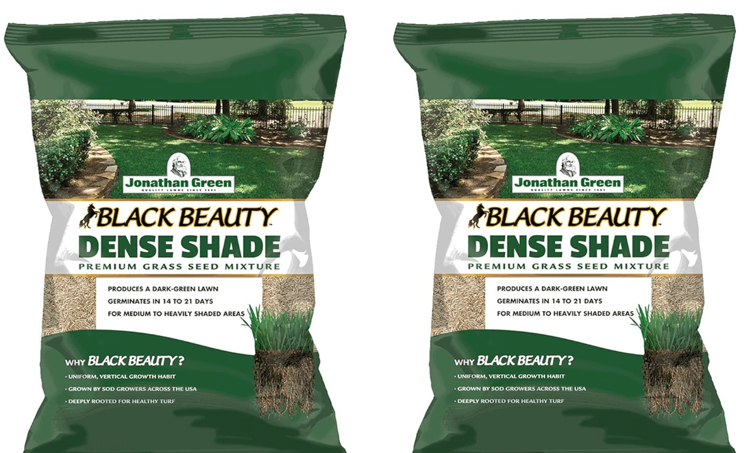 Dense Shade Grass Seed Mixture