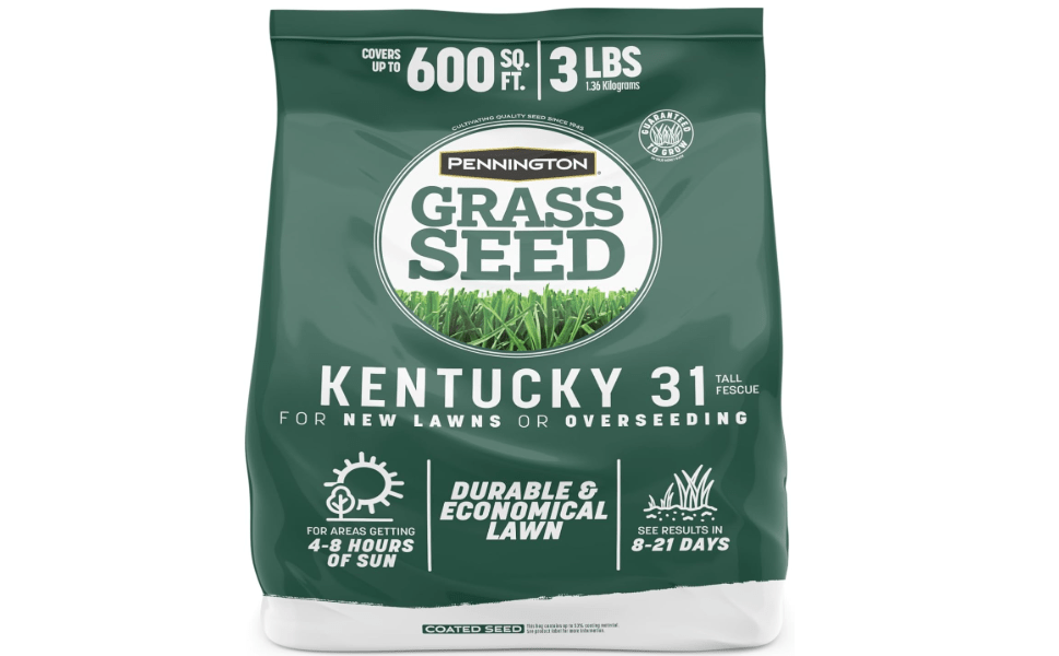 Pennington Kentucky 31 Fescue 3 LB Tall Fescue Grass Seed, Grass Seeds for