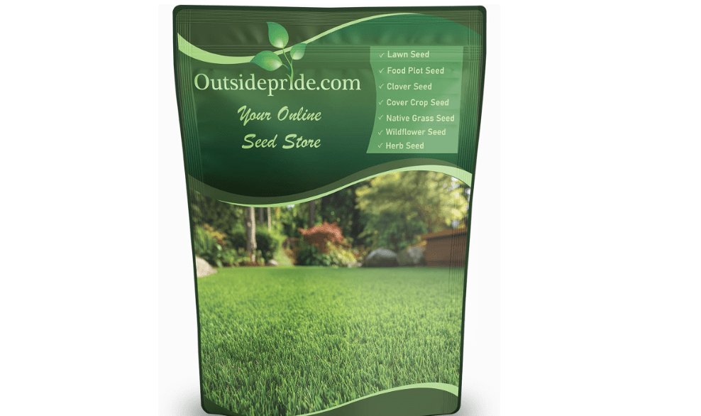 
Outsidepride Oasis Bermuda Grass Seed - 5 lbs Warm Season, High Traffic, Heat Resistant, Drought-Tolerant, Low-Maintenance, Fast Growing